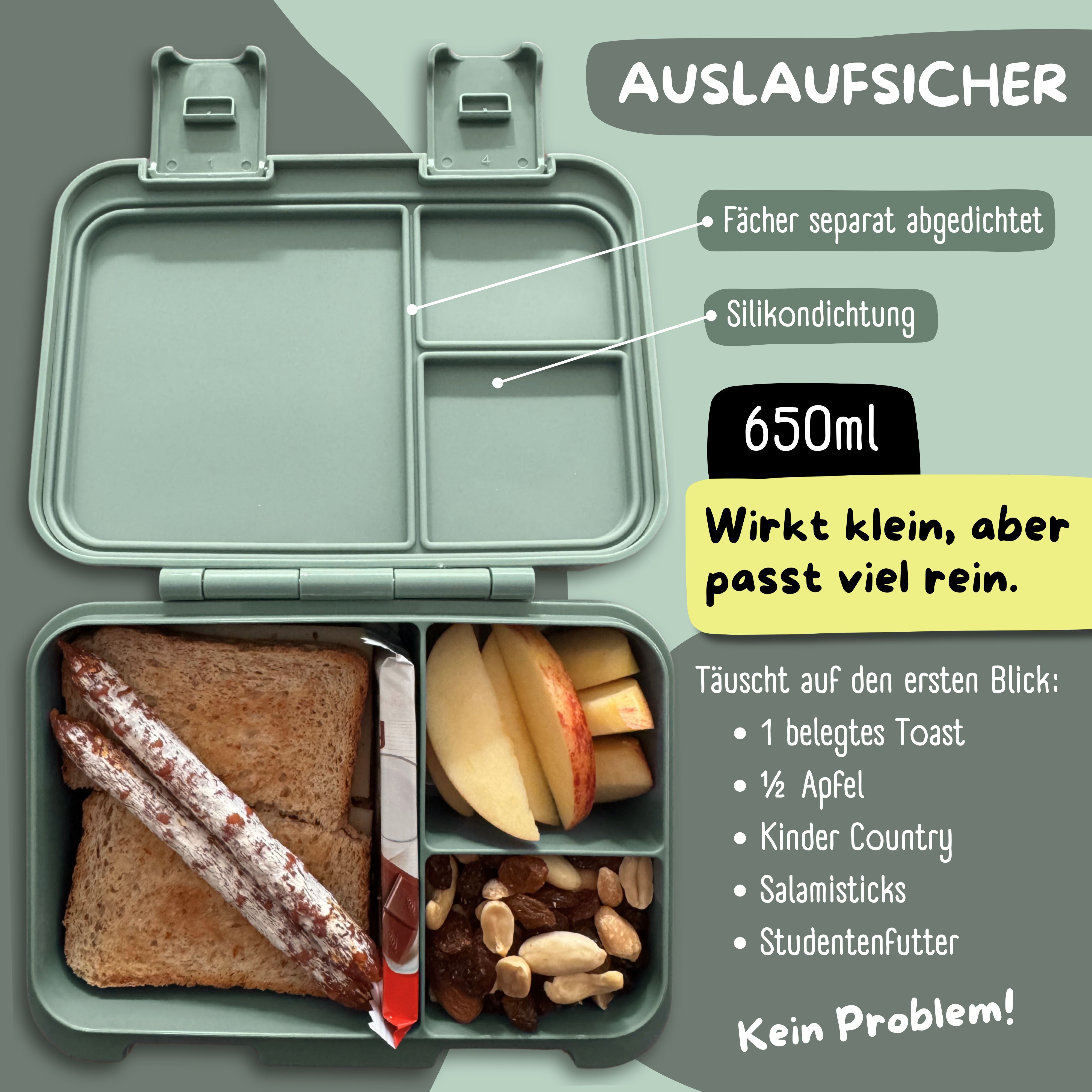 bearfoot-bento-box-compact-brotdose-koala-1000ml-auslaufsicher image 6