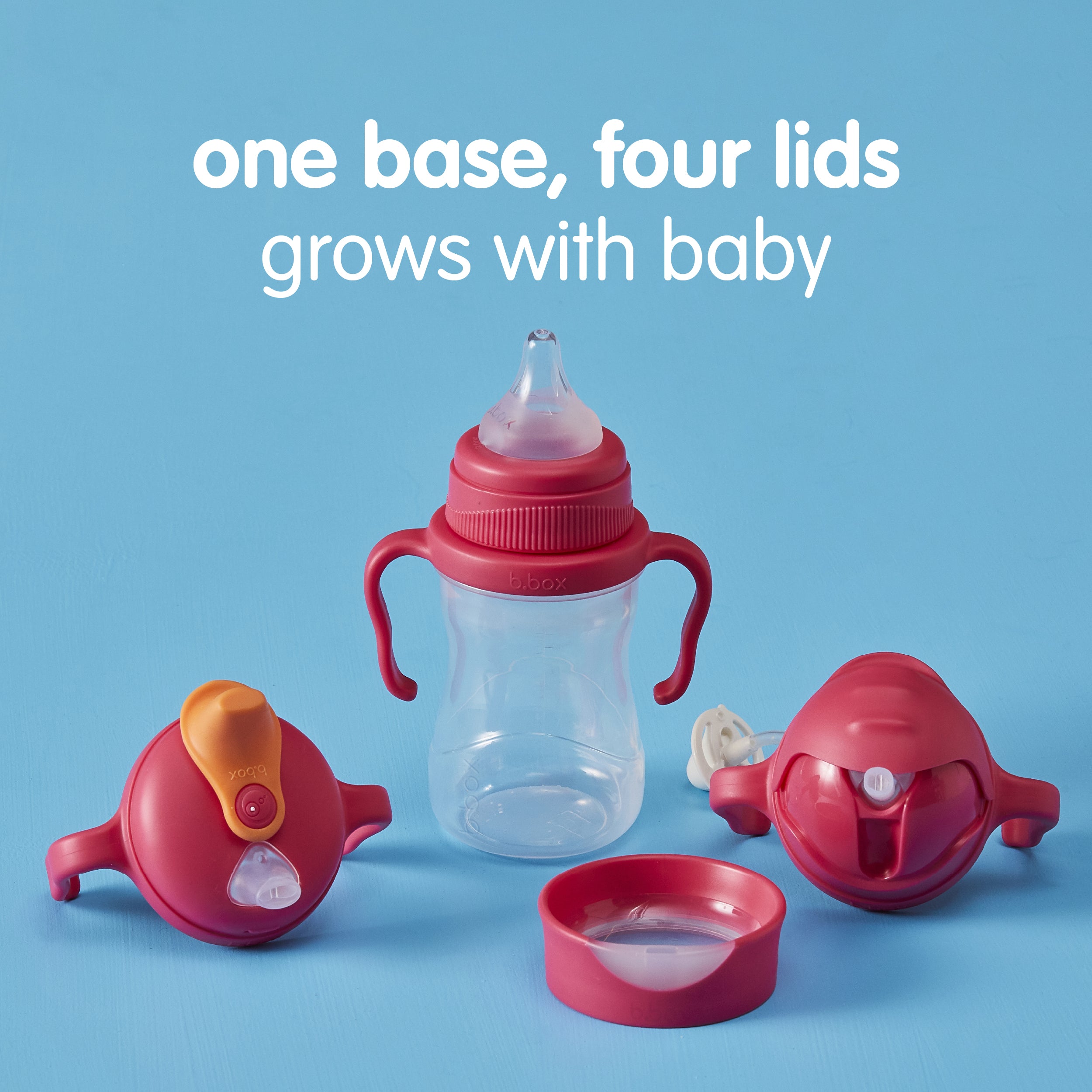 b-box-sippy-cup-transition-set-himbeere-4-in-1-trinkbecher image 2